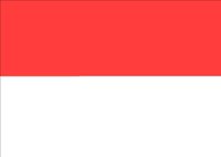 FLAG035.WMF