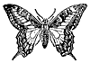 butterfly_7506_th.gif