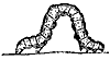 spannercater_7528_th.gif