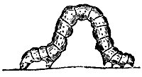 spannercater_7528_sm.gif