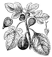 fig_7585_sm.gif
