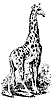 giraffe_7603_th.gif