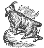 goat_7606_th.gif