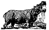 hippopotamus_7622_th.gif