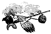 indian_pipes_7699_th.gif