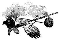 indian_pipes_7699_sm.gif