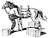 pack_horse_7805_th.gif