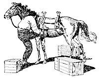 pack_horse_7805_sm.gif