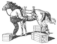 pack_horse_7805_md.gif