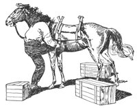 pack_horse_7805_lg.gif