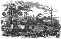bivouac_8084_lg.gif