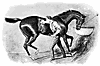groom_horse_8185_th.gif