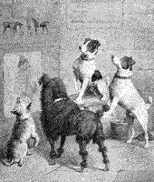 dogs_8186_sm.gif