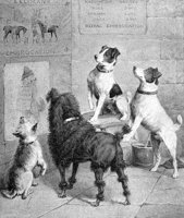 dogs_8186_lg.gif