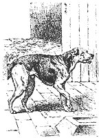 dog_8187_sm.gif