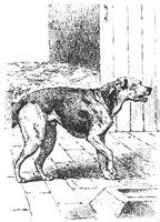 dog_8187_md.gif