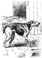 dog_8187_lg.gif