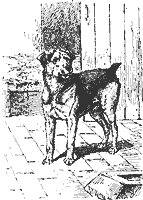 dog_8188_sm.gif