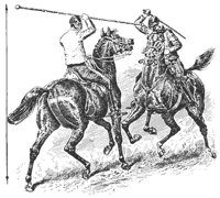 horses_8190_md.gif