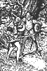 will_gamwell_8217_th.gif