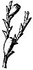 hydro_spore_8231_th.gif