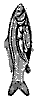 carp_inside_8253_th.gif
