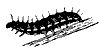 larva_8258_th.gif