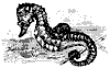 sea_horse_8285_th.gif