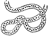 toad_eggs_8290_th.gif