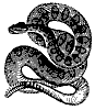 rattle_snake_8295_th.gif