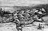 horned_toad_8297_th.gif