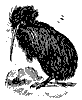 apterynx_8308_th.gif