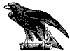 gold_eagle_8322_th.gif