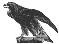 gold_eagle_8322_md.gif