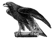 gold_eagle_8322_lg.gif