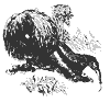 ant_eater_8327_th.gif