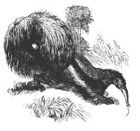 ant_eater_8327_md.gif