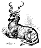 koodoo_8334_th.gif