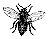 worker_bee_8343_th.gif