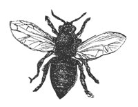 worker_bee_8343_md.gif