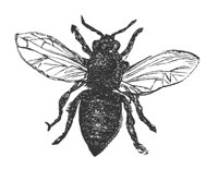 worker_bee_8343_lg.gif