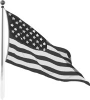 FLAG.wmf