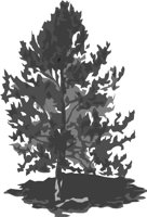 TREE-PN1.wmf