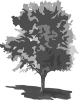 MAPLE.wmf