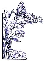 BTRFLY.BMP