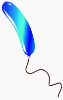 BALLOON1.BMP