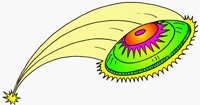 FLYDISC.BMP