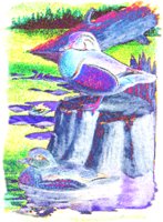 WOODDUCK.BMP