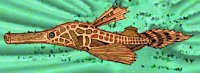 TUBEFISH.BMP