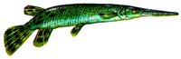 STURGEON.BMP